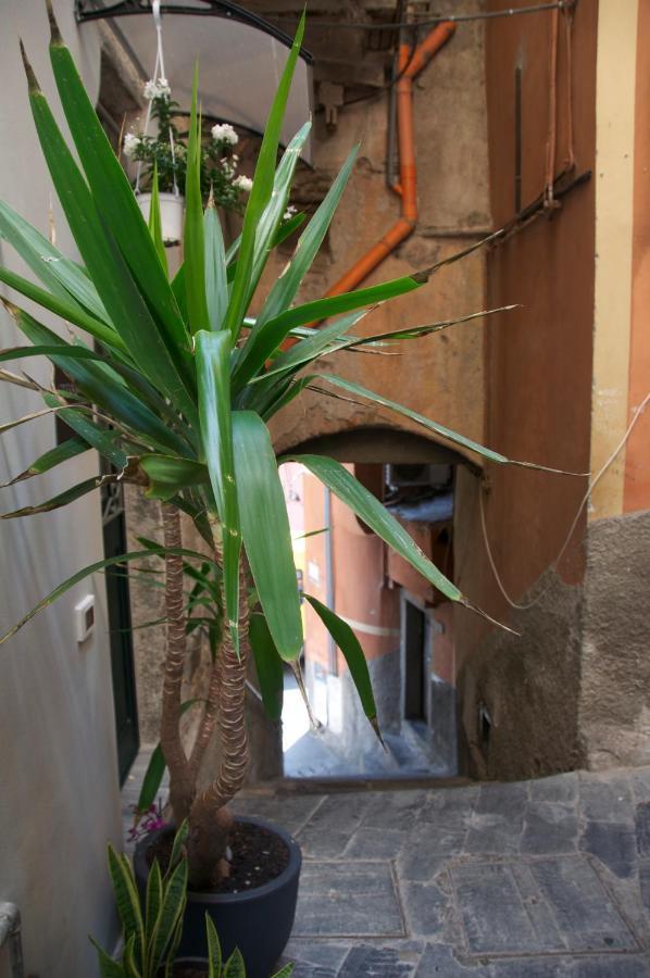 La Croce Dei Templari - Very Central With Parking - Hotel Рио Маджоре Екстериор снимка
